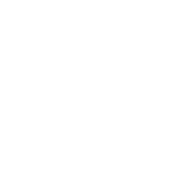 de partei
